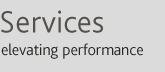 Services: Business Process Re/Design